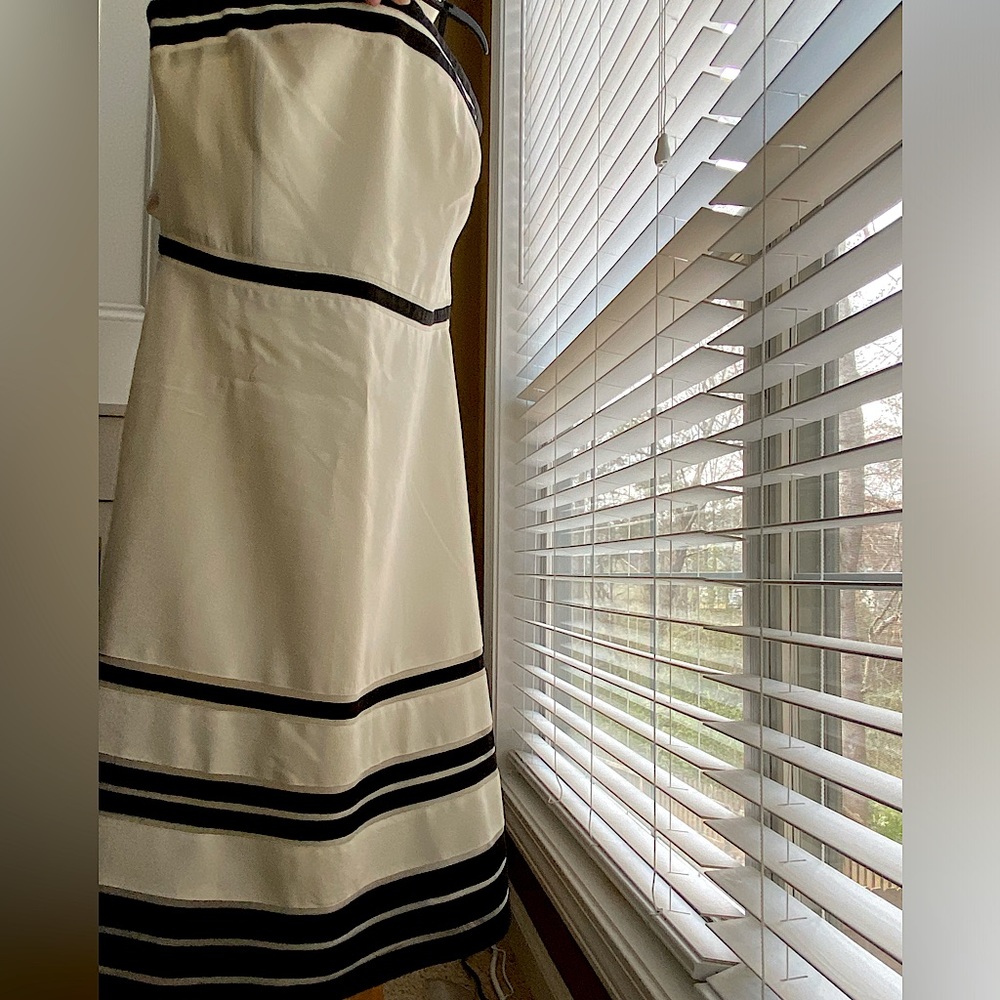 Ann Taylor Cream & Black Strapless Dress